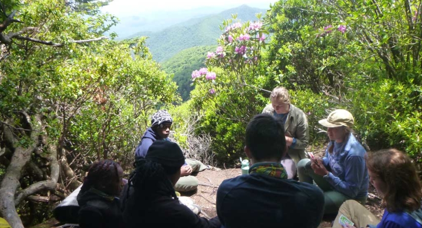 A group of people sit on a rock overlook surrounded by greenery and flowers. 